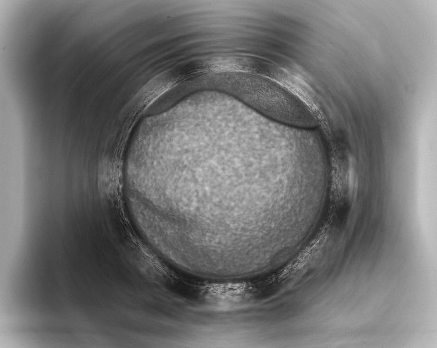 X0000095670793200802051229