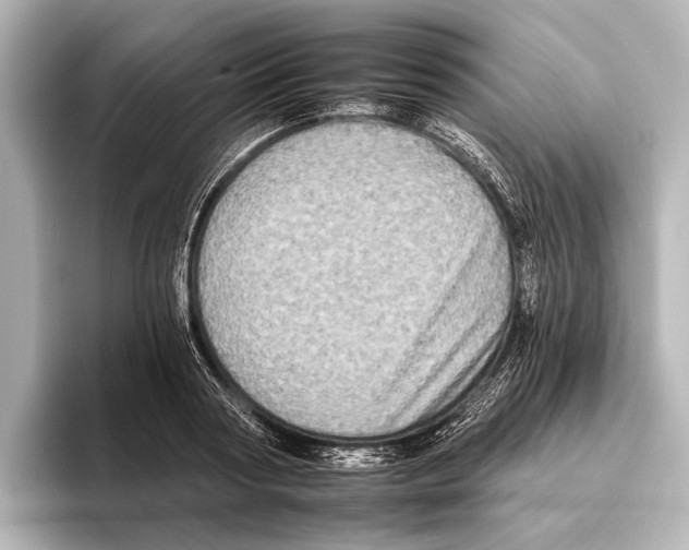 X0000095670794200802051229