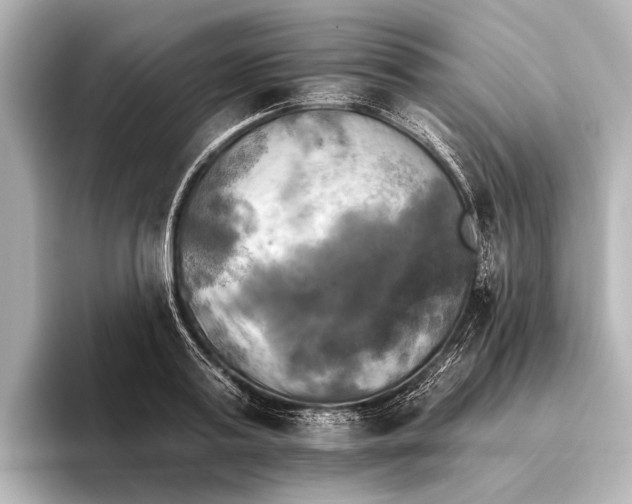 X0000095670795200802051229