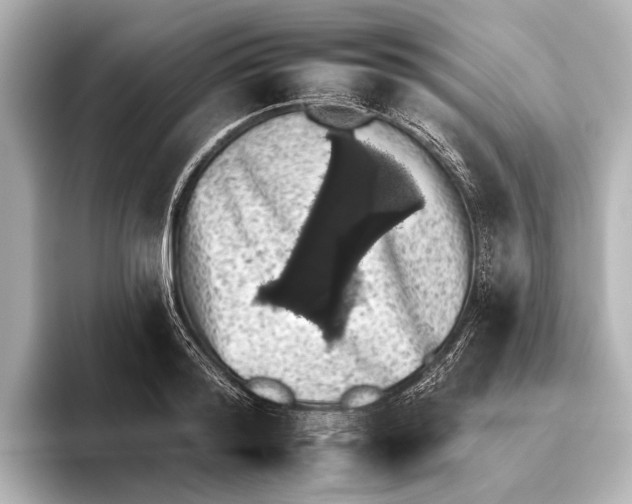 X0000095670796200802051229