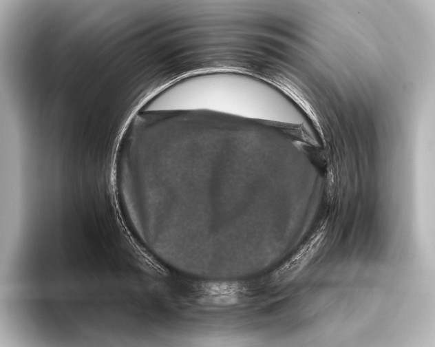 X0000095670797200802051229