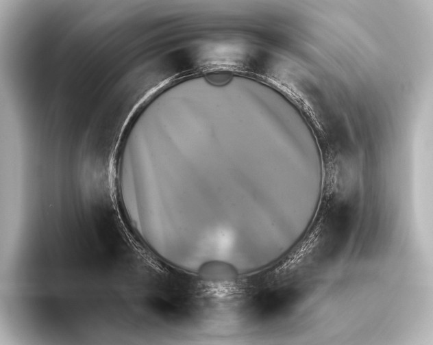 X0000095670798200802051229