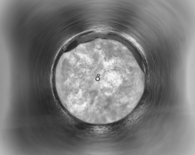 X0000095670799200802051229