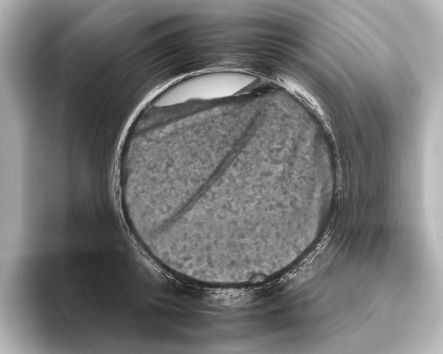 X0000095670800200802051229