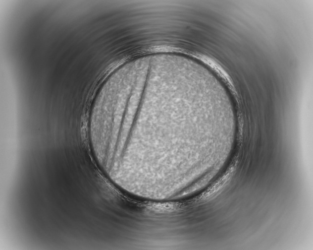 X0000095670801200802051229