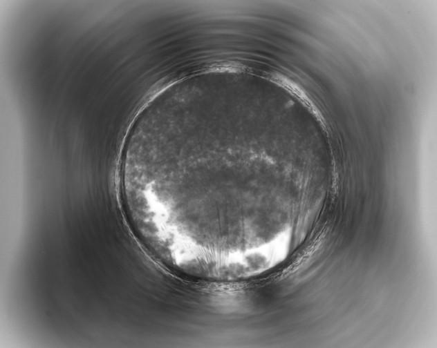 X0000095670802200802051229