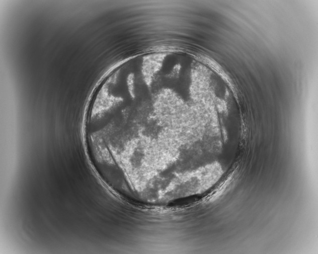 X0000095670803200802051229