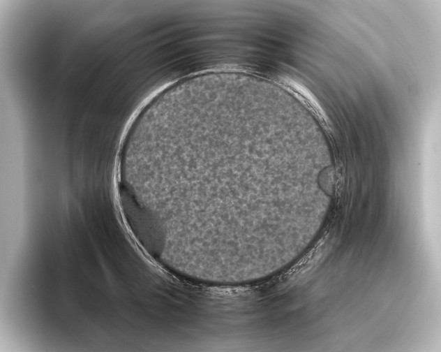 X0000095670804200802051229