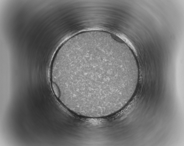 X0000095670805200802051229