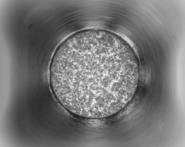 X0000095670807200802051229