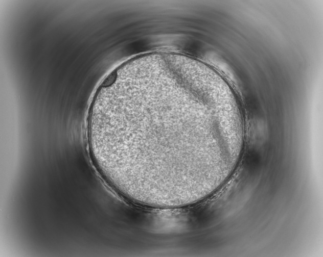 X0000095670808200802051229