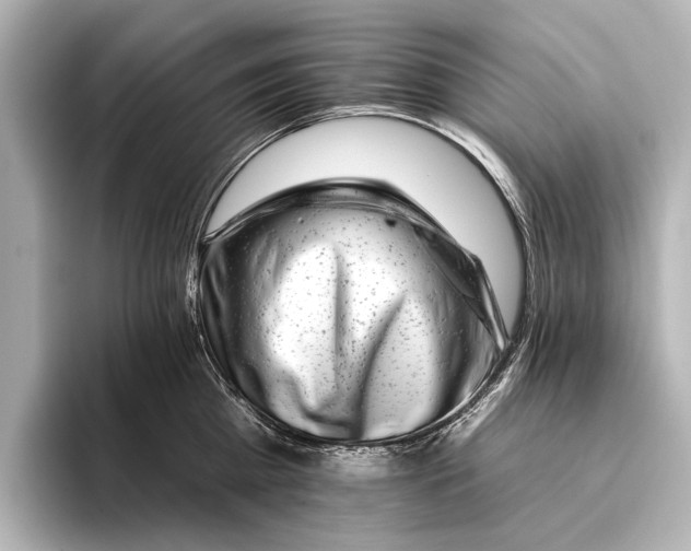 X0000095670809200802051229