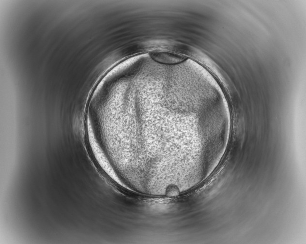 X0000095670810200802051229