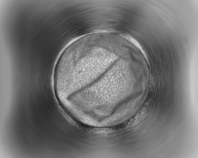 X0000095670811200802051229