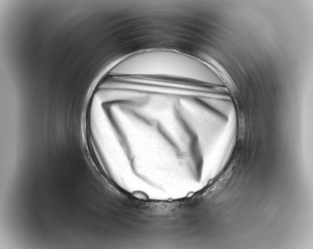 X0000095670812200802051229