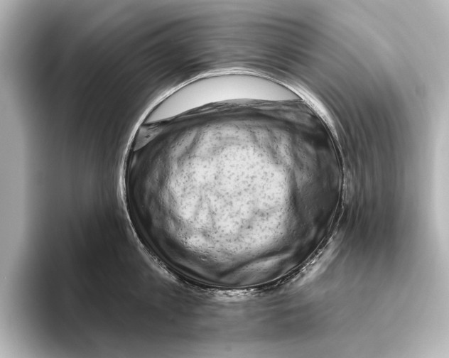 X0000095670813200802051229