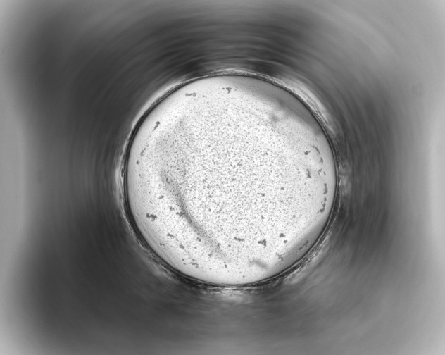 X0000095670814200802051229