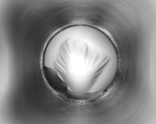 X0000095670815200802051229