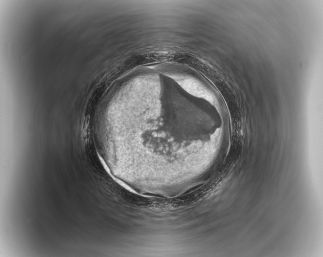 X0000095670818200802051228