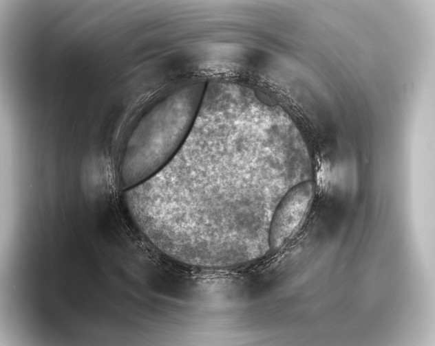 X0000095670819200802051228