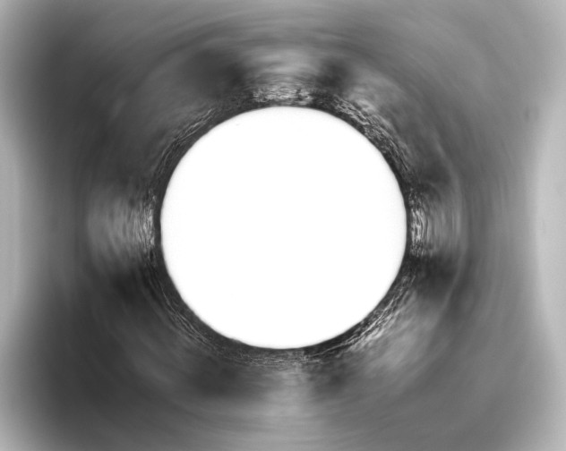 X0000095670820200802051228