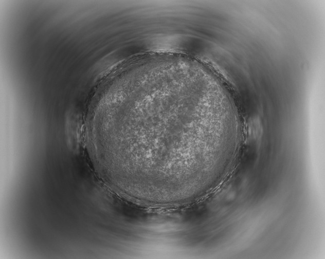 X0000095670821200802051228