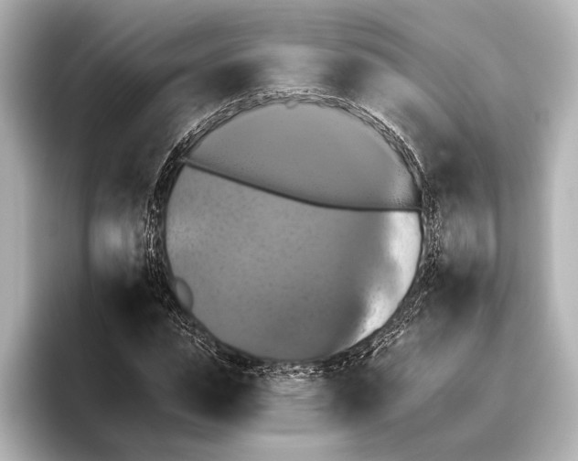 X0000095670823200802051228