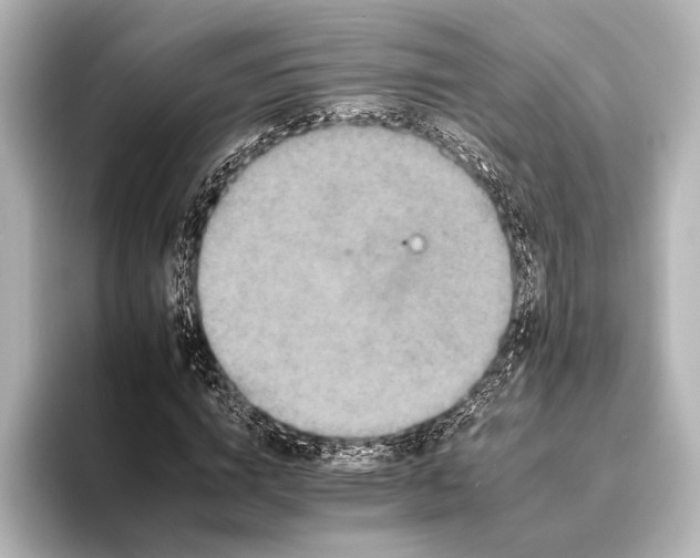 X0000095670824200802051228