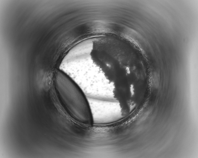 X0000095670825200802051228