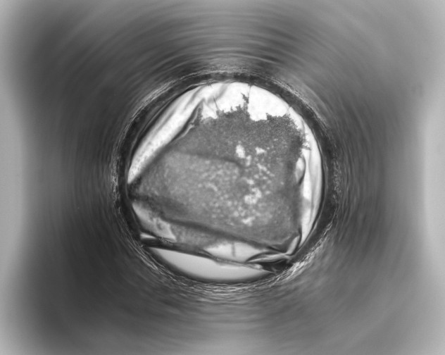 X0000095670826200802051228