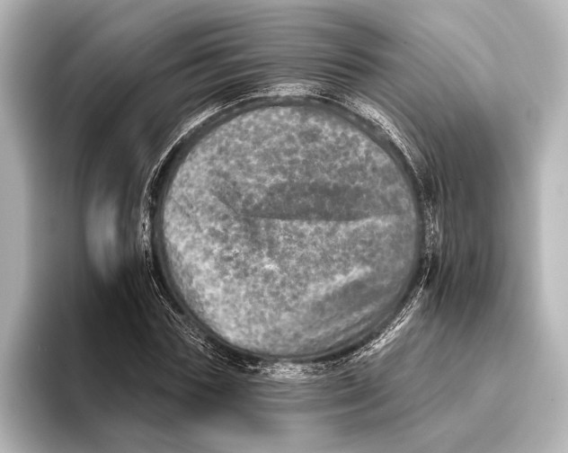 X0000095670827200802051228