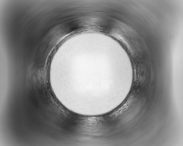 X0000095670828200802051228