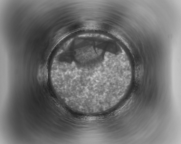 X0000095670829200802051228