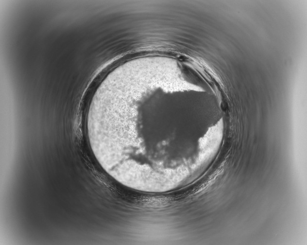 X0000095670830200802051228