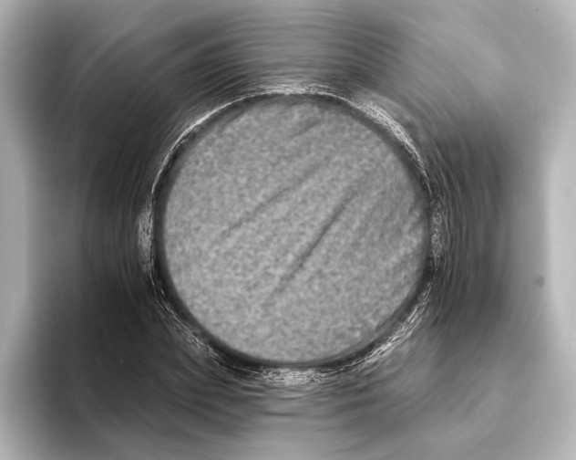 X0000095670831200802051228