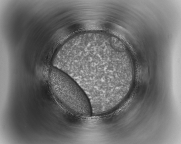 X0000095670833200802051228