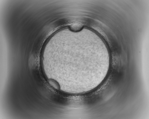 X0000095670834200802051228