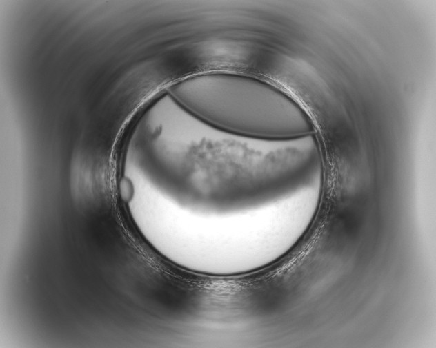 X0000095670835200802051228