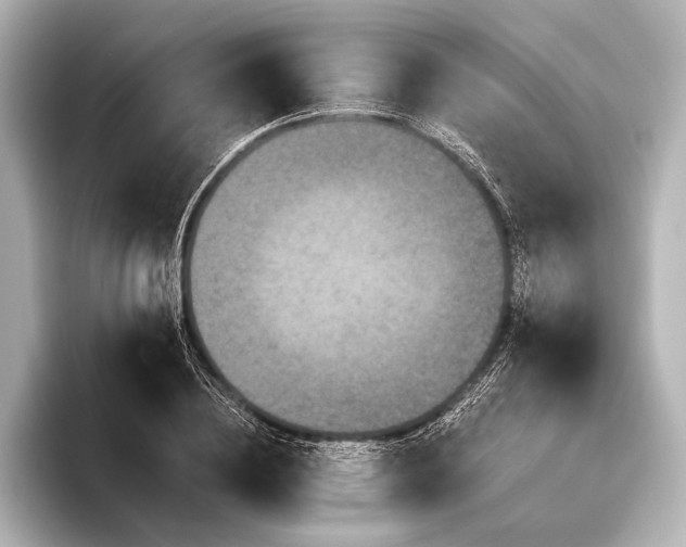 X0000095670836200802051228