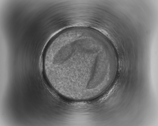 X0000095670838200802051228