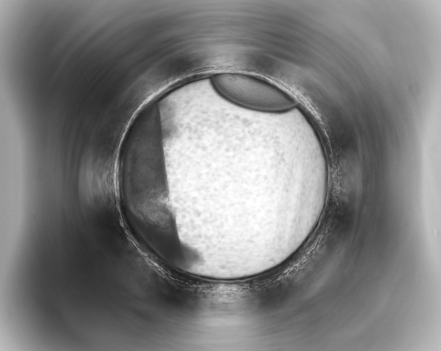 X0000095670839200802051228