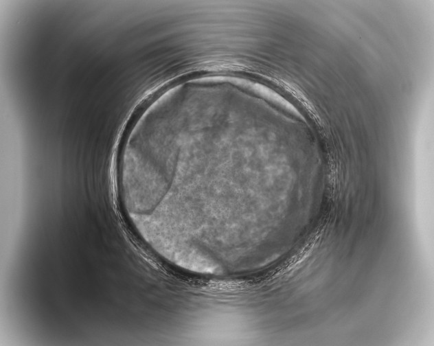 X0000095670840200802051228