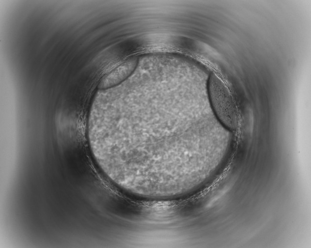 X0000095670841200802051228