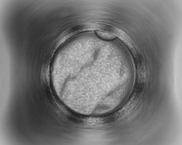 X0000095670842200802051228