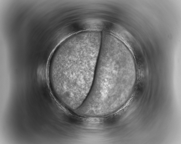 X0000095670843200802051228