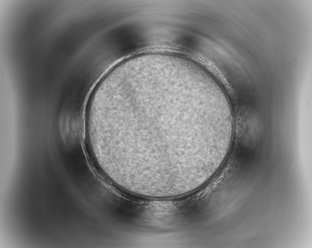 X0000095670844200802051229