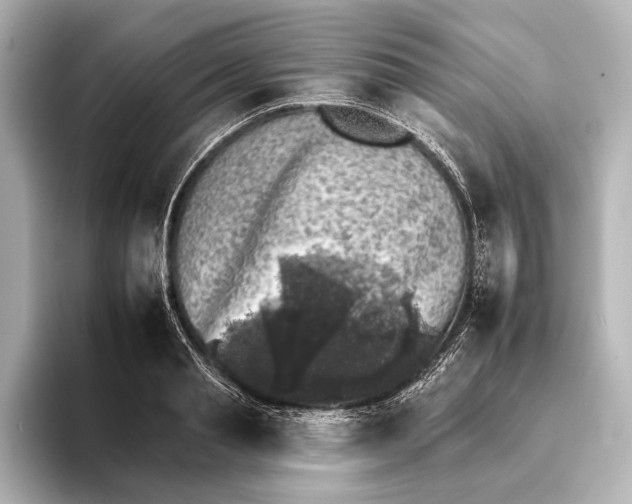 X0000095670845200802051229