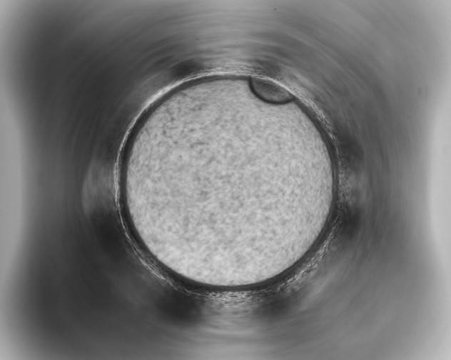 X0000095670846200802051229