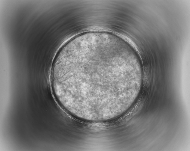 X0000095670847200802051229