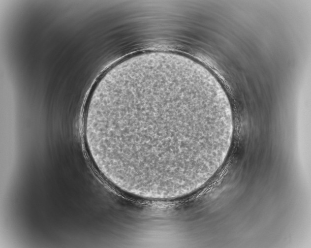 X0000095670848200802051229